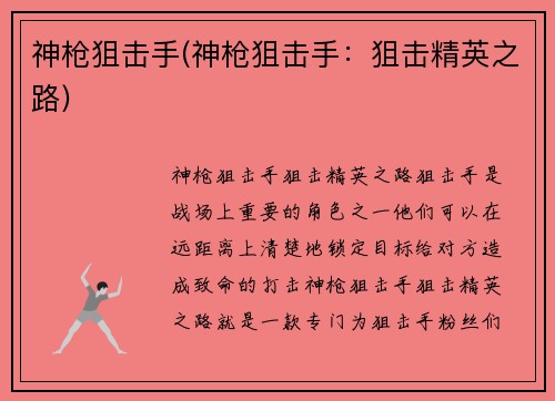神枪狙击手(神枪狙击手：狙击精英之路)